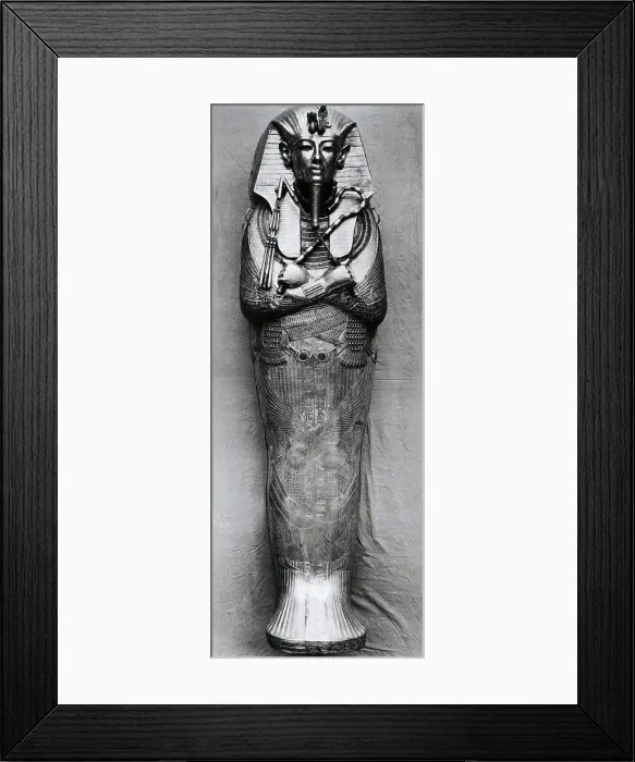 Framed Print : Coffin of Tutankhamon in the Cairo Museum Framed Print : Coffin of Tutankhamon in the Cairo Museum
