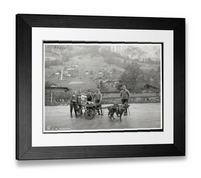 Framed Print : Boys Delivering Milk In A Lauterbrunner Framed Print : Boys Delivering Milk In A Lauterbrunner