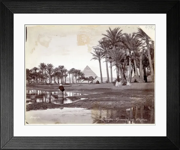 Framed Print : Oasis W / Buzzard, Camel;Pyramid In Backgro Framed Print : Oasis W / Buzzard, Camel;Pyramid In Backgro