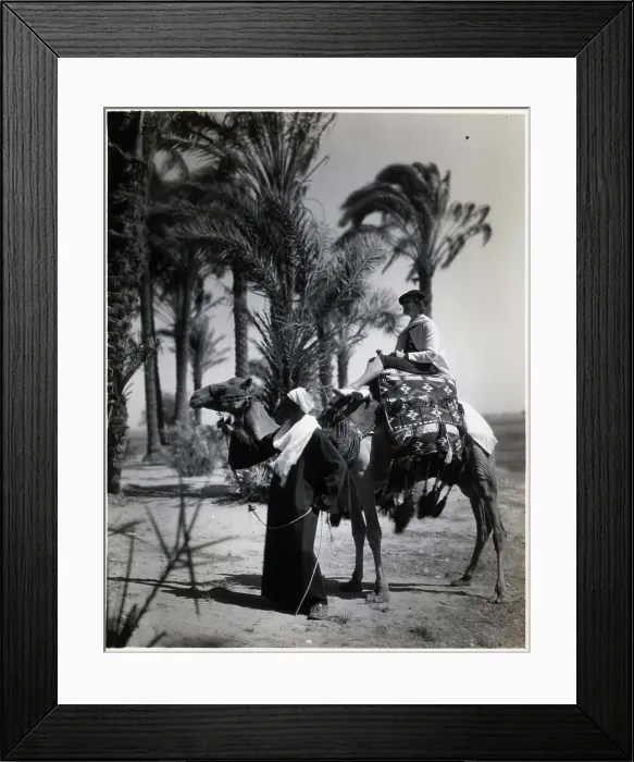Framed Print : Western Woman Rides On Camel In Oasis Framed Print : Western Woman Rides On Camel In Oasis