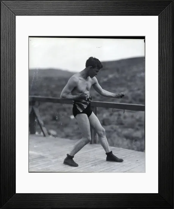 Framed Print : Battling Nelson In Fighting Pose Framed Print : Battling Nelson In Fighting Pose