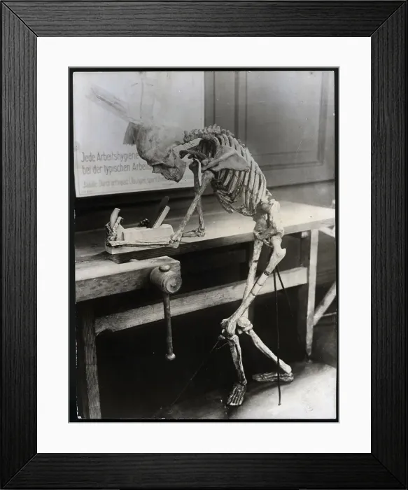 Framed Print : Skeleton Planing At A Carpenter'S Bench Framed Print : Skeleton Planing At A Carpenter'S Bench