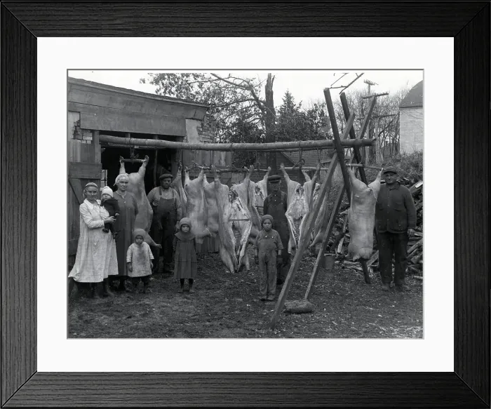 Framed Print : Butcher'S Shop;Backyard, Hanging Carcasse Framed Print : Butcher'S Shop;Backyard, Hanging Carcasse
