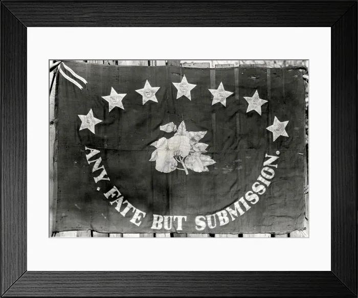 Framed Print : Confederate Regimental Flag Reading Any Fate But Submission Framed Print : Confederate Regimental Flag Reading Any Fate But Submission