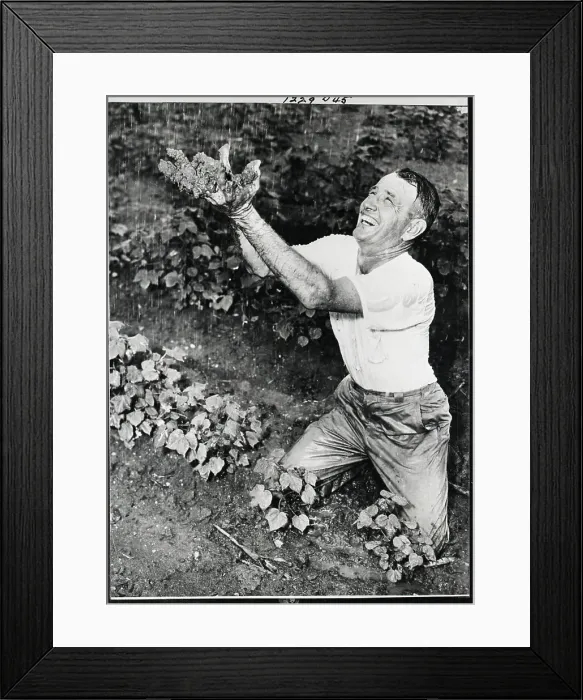 Framed Print : Texan Farmer Rejoicing Due To Rain Framed Print : Texan Farmer Rejoicing Due To Rain