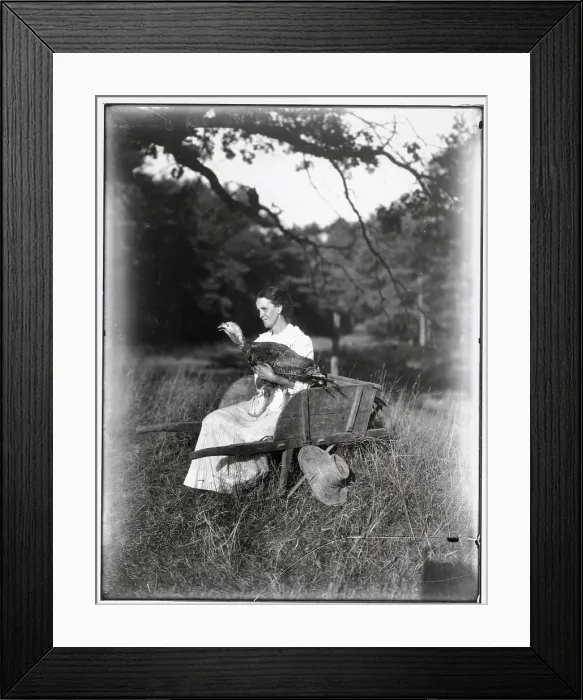 Framed Print : Woman Seated On Wheelbarrow;Turkey In La Framed Print : Woman Seated On Wheelbarrow;Turkey In La
