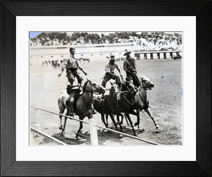 Framed Print : South African Cowboys Practice For Rodeo Framed Print : South African Cowboys Practice For Rodeo
