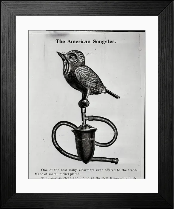 Framed Print : Baby Charmer Used To Charm Children Framed Print : Baby Charmer Used To Charm Children