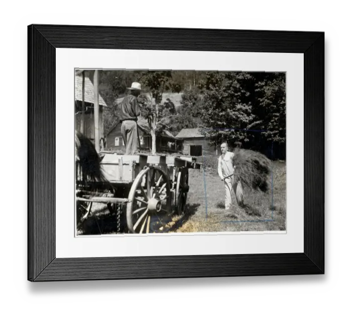 Framed Print : Calvin Coolidge On Blanchard Farm Framed Print : Calvin Coolidge On Blanchard Farm