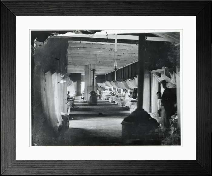 Framed Print : Hospital In Civil War; Mosquito Netting Framed Print : Hospital In Civil War; Mosquito Netting