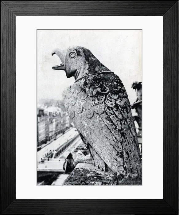 Framed Print : Notre Dame Cathedral Gargoyle Paris Framed Print : Notre Dame Cathedral Gargoyle Paris