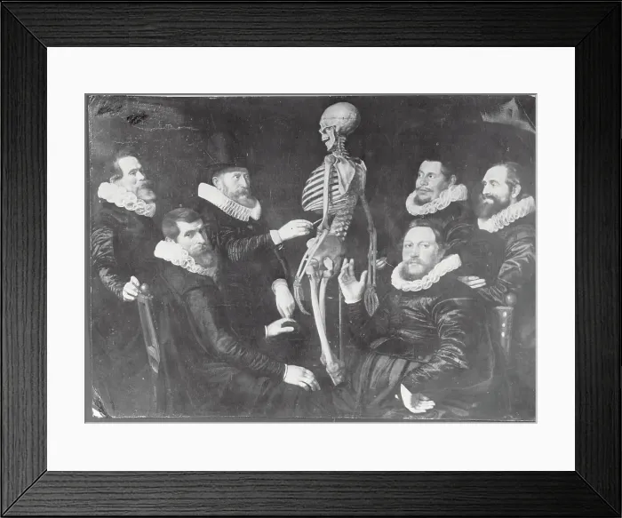 Framed Print : Doctors Studying Human Skeleton Framed Print : Doctors Studying Human Skeleton