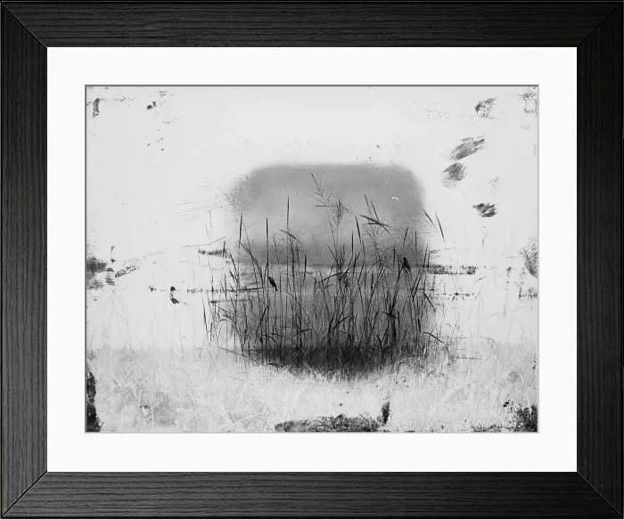 Framed Print : Birds Sitting on Reeds Along Shore Framed Print : Birds Sitting on Reeds Along Shore