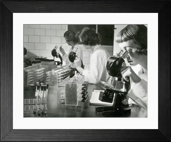 Framed Print : Scientists Studying Polio Vaccine Framed Print : Scientists Studying Polio Vaccine