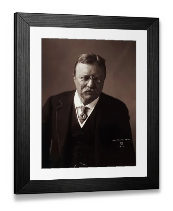 Framed Print : Theodore Roosevelt Framed Print : Theodore Roosevelt