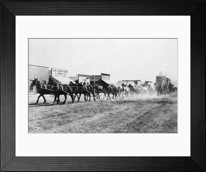 Framed Print : Pack Of Team Mules Pulling A Wagon