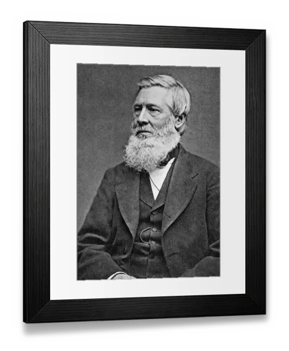 Framed Print : Asa Gray American Botonist Framed Print : Asa Gray American Botonist