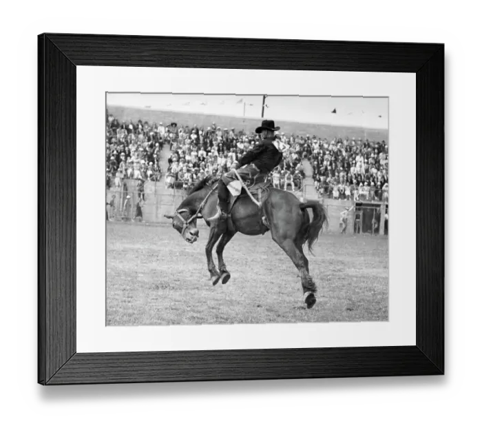 Framed Print : Man Riding Bucking Mustang Framed Print : Man Riding Bucking Mustang