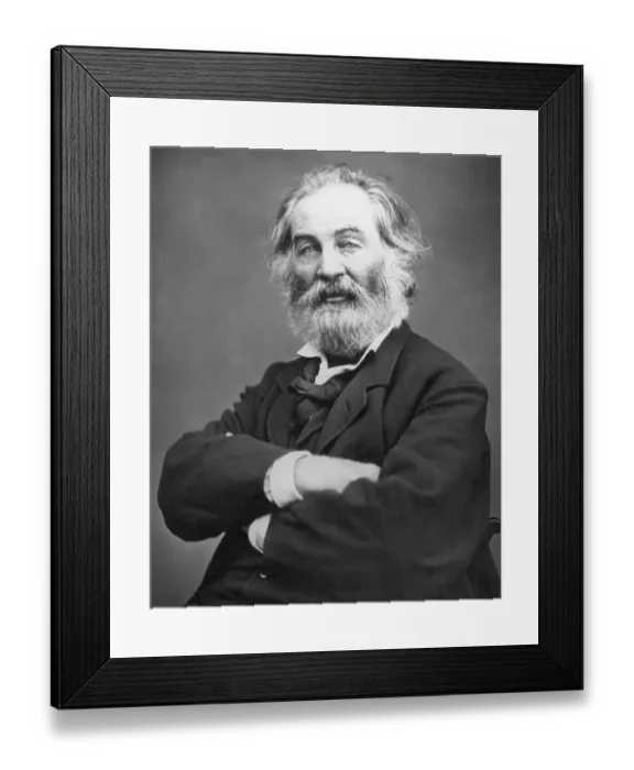 Framed Print : Headshoulders Photo Of Walt Whitman Framed Print : Headshoulders Photo Of Walt Whitman