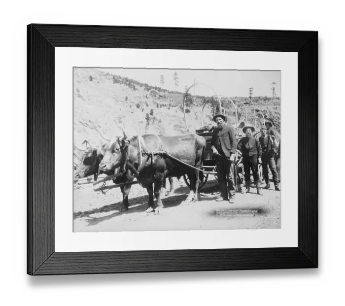 Framed Print : Prospectors Going To New Gold Field
