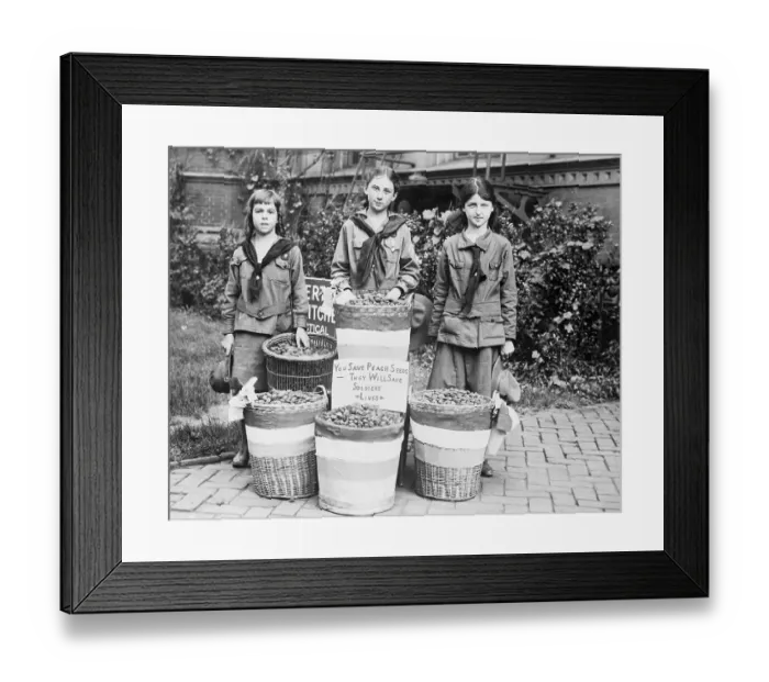Framed Print : Girl Scouts Collecting Peach Seeds