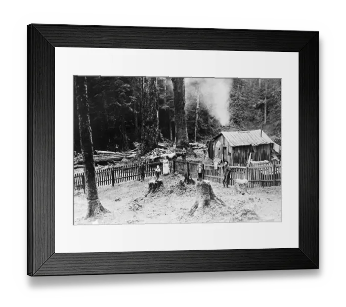 Framed Print : Homesteader In Washington Territory Framed Print : Homesteader In Washington Territory