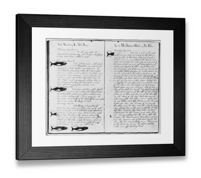 Framed Print : Log Book Pages from Whaling Ship Framed Print : Log Book Pages from Whaling Ship