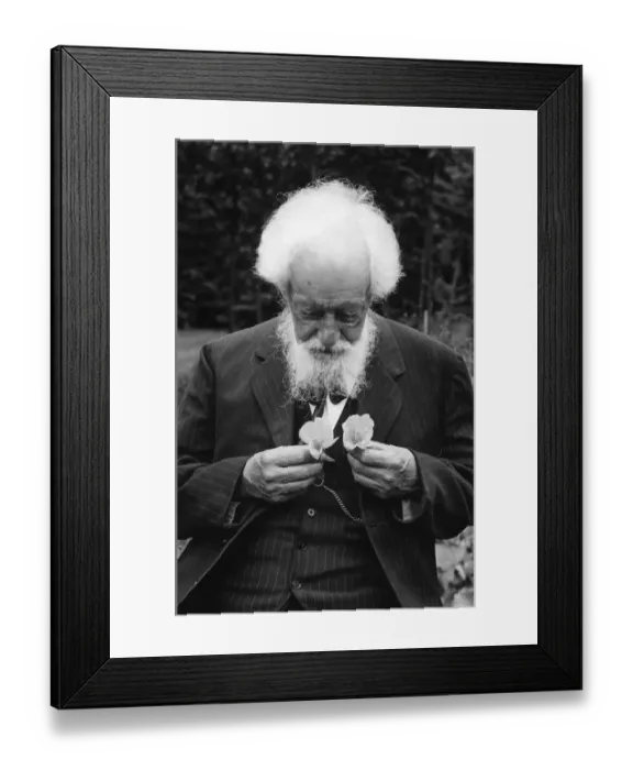 Framed Print : Dutch Botanist Hugo (Marie) de Vries Holding Flowers Framed Print : Dutch Botanist Hugo (Marie) de Vries Holding Flowers