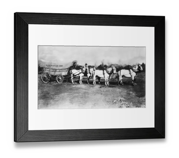 Framed Print : Conestoga Wagon With Six Horses Framed Print : Conestoga Wagon With Six Horses