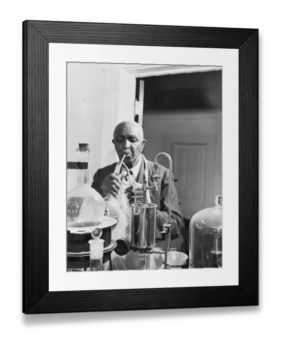 Framed Print : Botanist George Washington Carver in Laboratory Framed Print : Botanist George Washington Carver in Laboratory