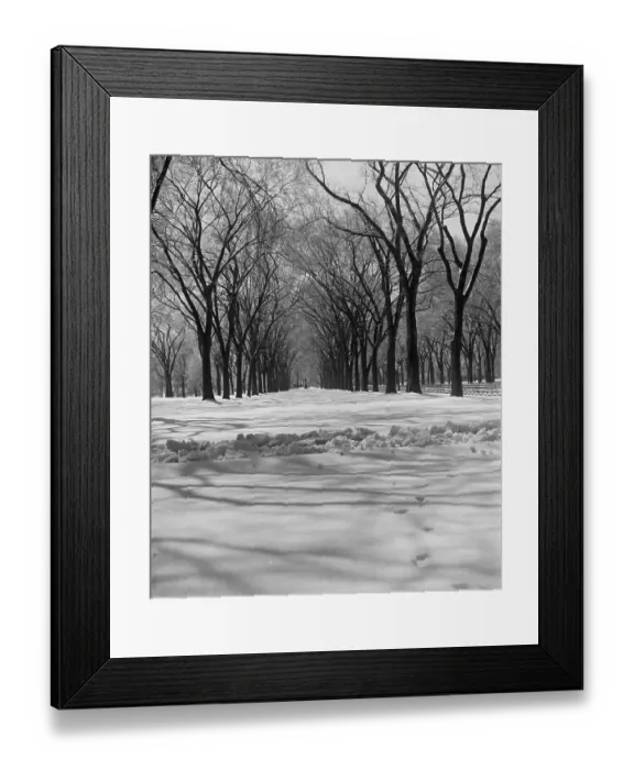 Framed Print : Central Park in Winter Framed Print : Central Park in Winter