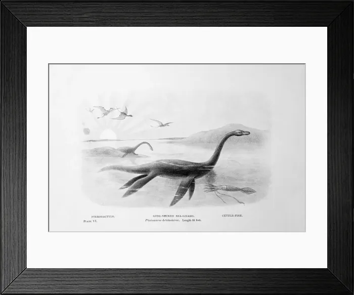 Framed Print : Long-Necked Sea Lizard Framed Print : Long-Necked Sea Lizard