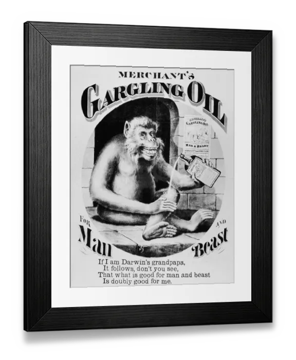 Framed Print : Advertisement for Merchant's Gargling Oil Framed Print : Advertisement for Merchant's Gargling Oil