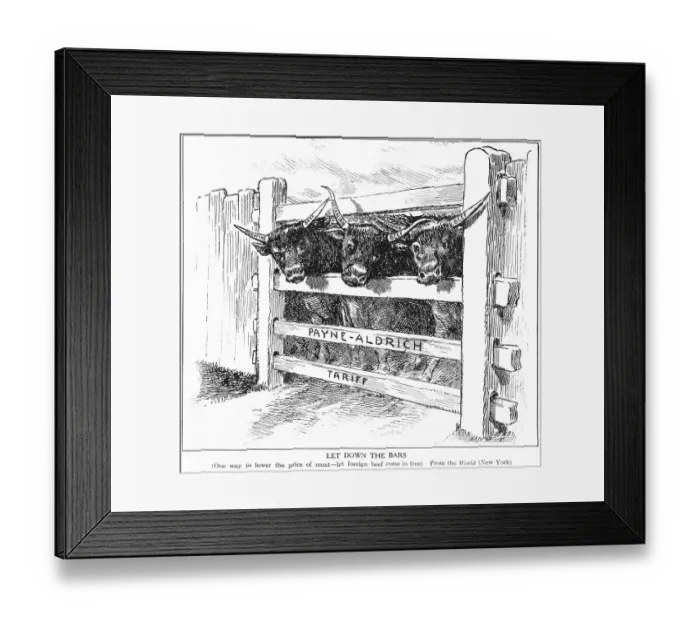 Framed Print : Payne-Aldrich Tariff Political Cartoon