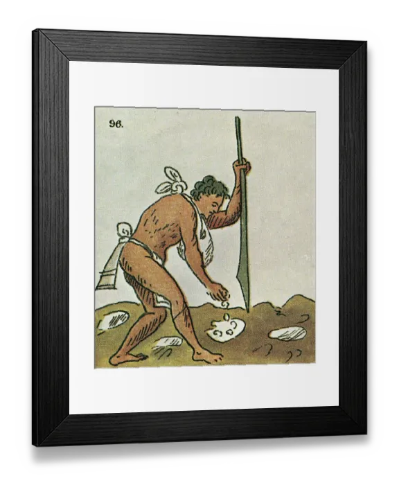 Framed Print : Planting Corn Framed Print : Planting Corn