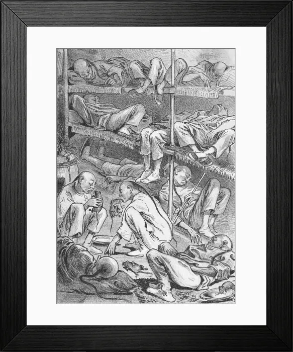 Framed Print : Cartoon Depicting Chinese in America Framed Print : Cartoon Depicting Chinese in America