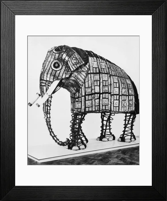 Framed Print : Armor for an Elephant Framed Print : Armor for an Elephant