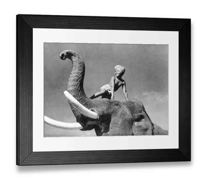 Framed Print : Turbaned Boy Seated on an Elephant Framed Print : Turbaned Boy Seated on an Elephant