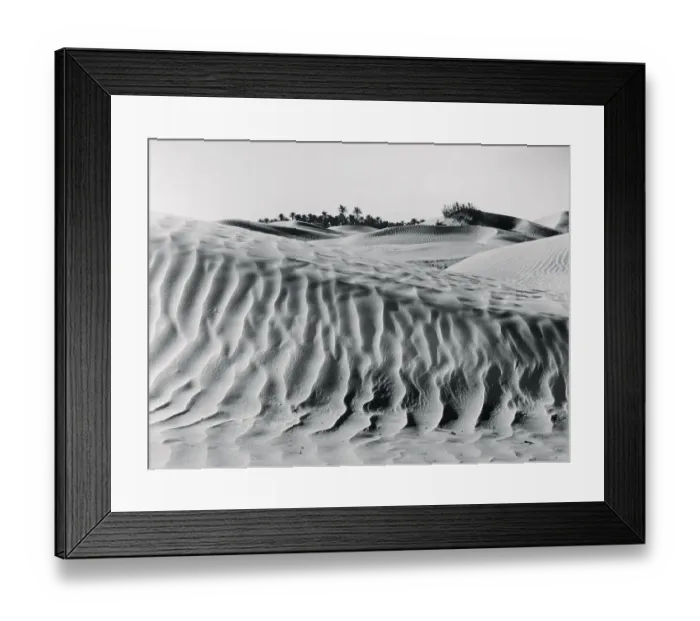 Framed Print : Sand Dunes with Oasis Framed Print : Sand Dunes with Oasis