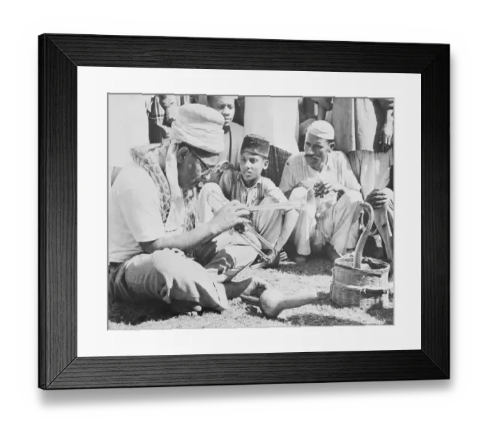 Framed Print : Portrait of John Dizzy Gillespie Charming Snake