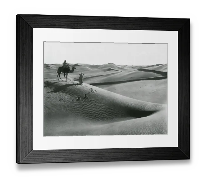 Framed Print : Men with Camel Traveling the Sahara Desert Framed Print : Men with Camel Traveling the Sahara Desert