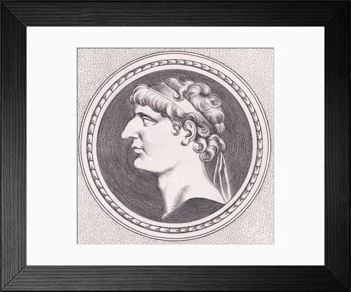 Framed Print : Profile of Seleucus I Nicator Framed Print : Profile of Seleucus I Nicator