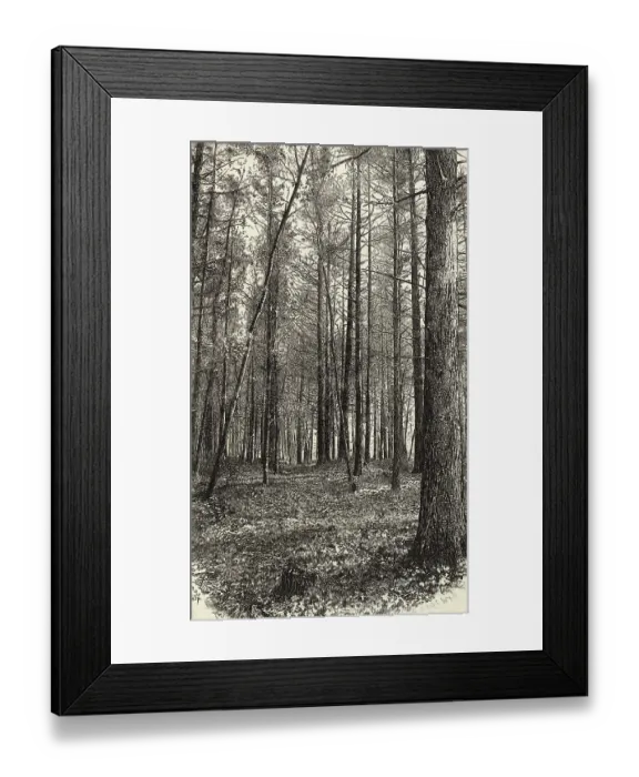 Framed Print : A Scene Near Walden Pond Framed Print : A Scene Near Walden Pond