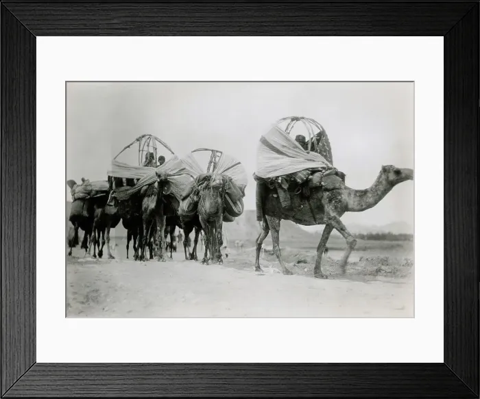 Framed Print : Nomadic Tribe in Algeria Framed Print : Nomadic Tribe in Algeria