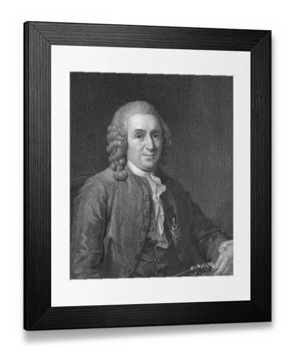 Framed Print : Portrait of Carl Von Linne Framed Print : Portrait of Carl Von Linne
