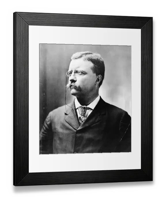 Framed Print : New York Governor Theodore Roosevelt Framed Print : New York Governor Theodore Roosevelt