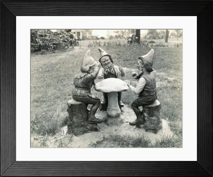 Framed Print : Gnomes Sitting Around a Mushroom Framed Print : Gnomes Sitting Around a Mushroom