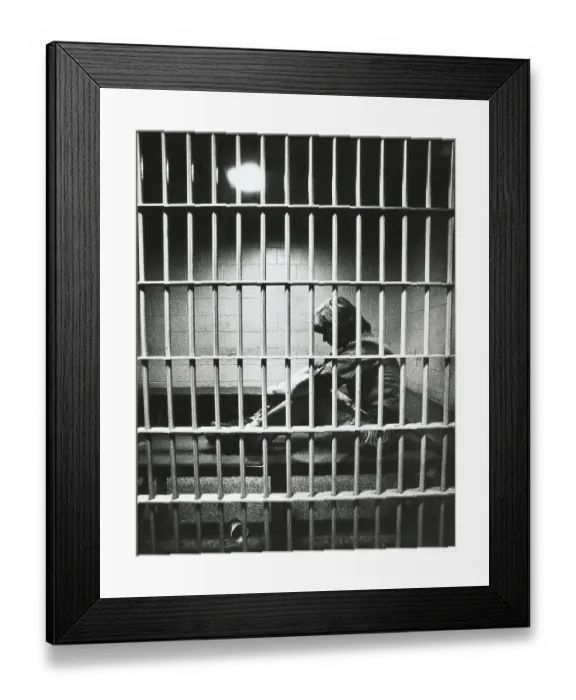 Framed Print : Young Man Behind Bars Framed Print : Young Man Behind Bars