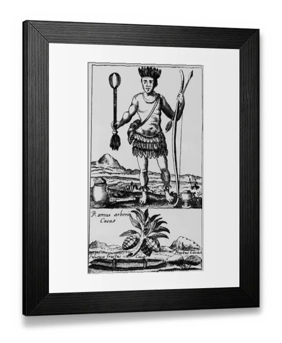 Framed Print : Engraving of New World Native and Cacao Framed Print : Engraving of New World Native and Cacao