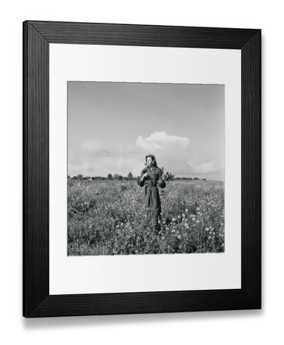 Framed Print : Ingrid Bergman Gathering Poppies Framed Print : Ingrid Bergman Gathering Poppies
